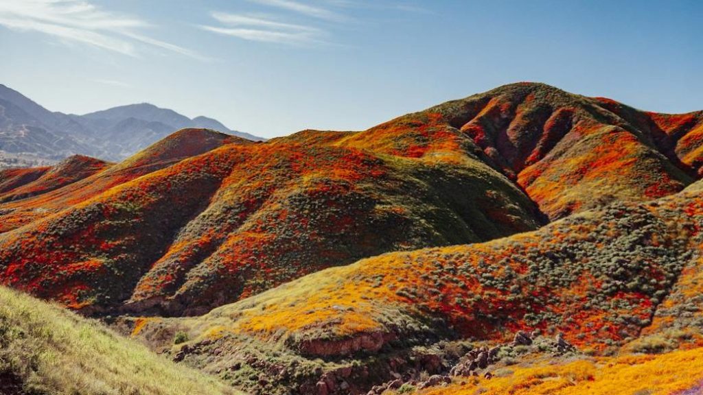 March 2026 –&nbsp;Trailblazers